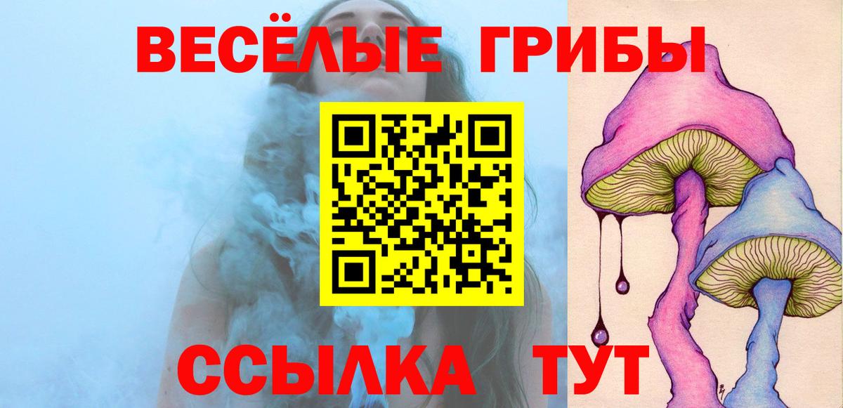 Псилоцибиновые грибы Cubensis Кудымкар