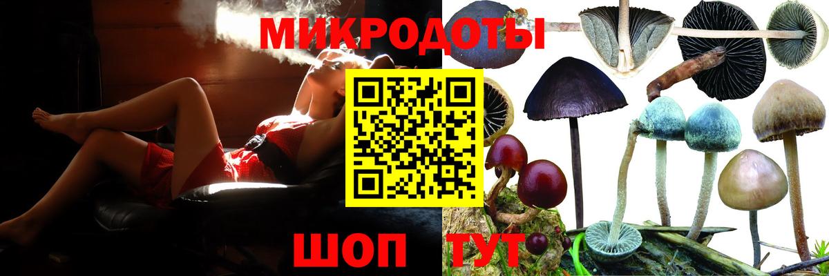 Псилоцибиновые грибы Magic Shrooms  Вход с VPN  Кудымкар 